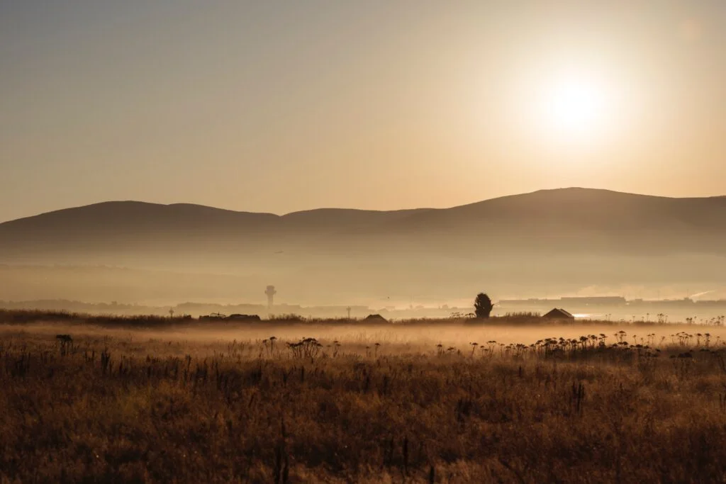 Brown colour used in website photography