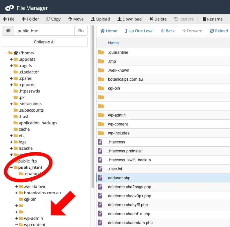 WordPress files in Cpanel